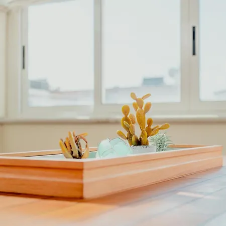 Aphrodite Luxury With Jacuzzi 的里雅斯特